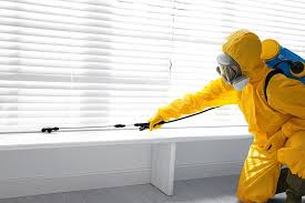 Best Termite Inspection and Treatment  in Walnut Grove, CA